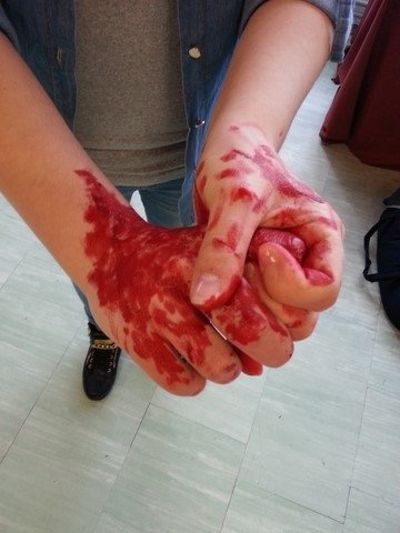 konkurs i pokaz ZSZ PBO